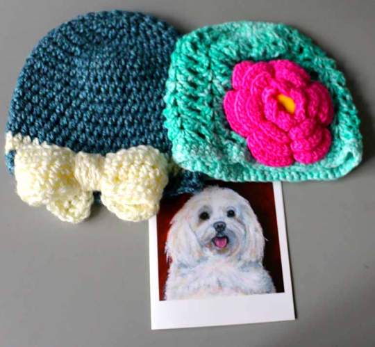 Puppy Hat made by Rhonda